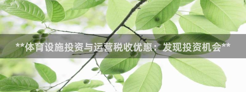 凯时登录平台去AG发财网